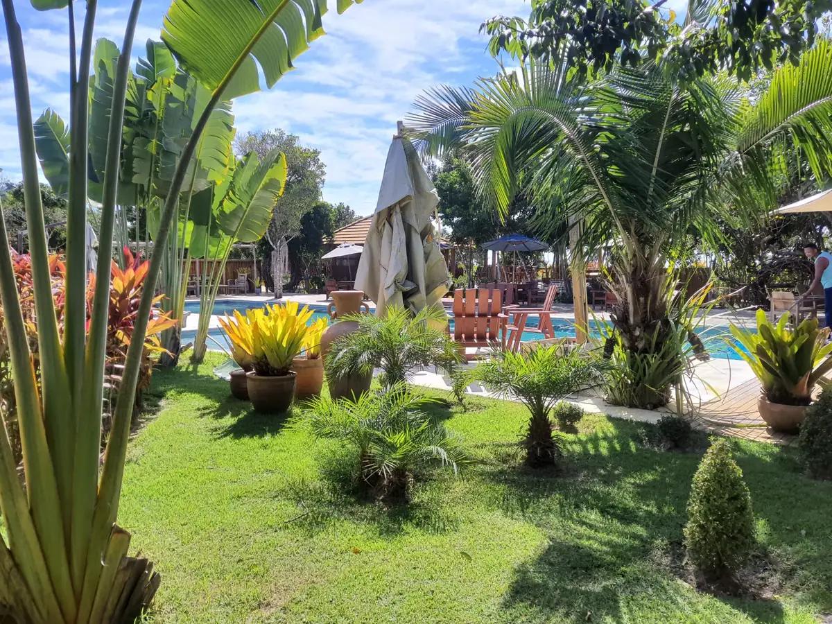 Os jardins do beach clube